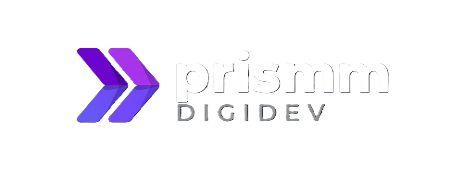 prismmdigidev logo